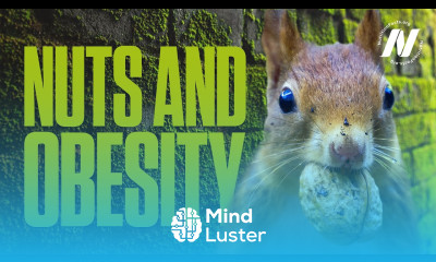 Nuts and Obesity The Weight of Evidence