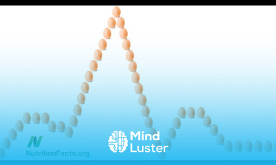 Eggs and Arterial Function