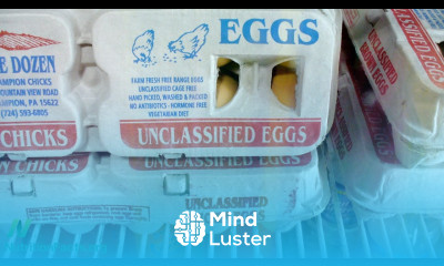 Debunking Egg Industry Myths