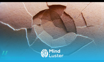 Eggs and Cholesterol Patently False and Misleading Claims