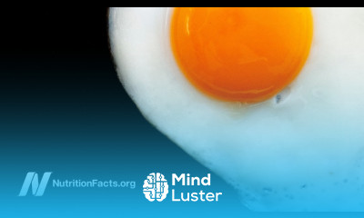 Does Dietary Cholesterol from Eggs Raise Blood Cholesterol