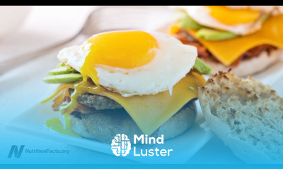 Dietary Guidelines “Eat as Little Dietary Cholesterol as Possible”