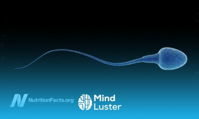 Dairy Estrogen and Male Fertility