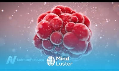 Prevent Cancer From Going on TOR