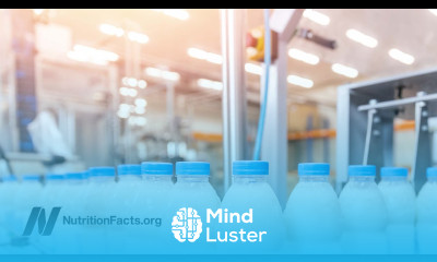 Could Lactose Explain the Milk Parkinson s Disease Link