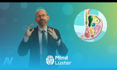 Keto Diet Theory Put to the Test