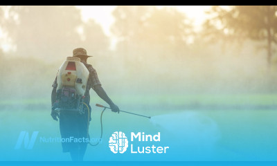 Protein Puberty and Pollutants