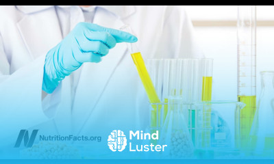 GMO Soy and Breast Cancer