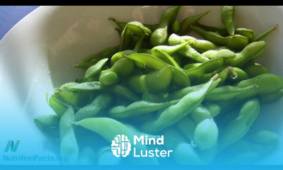 Who Shouldn t Eat Soy