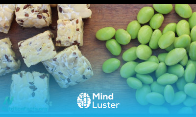 Is Soy Healthy for Breast Cancer Survivors