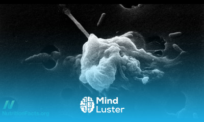 Turmeric Curcumin Reprogramming Cancer Cell Death