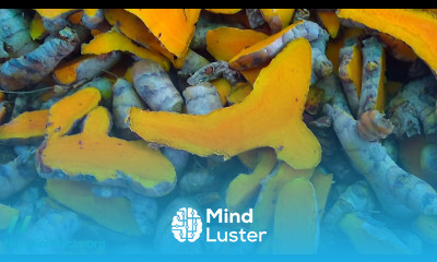 Carcinogen Blocking Effects of Turmeric Curcumin