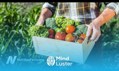 Are Organic Foods Safer