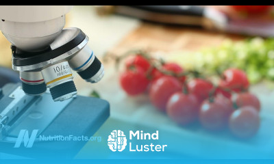 Are Organic Foods Healthier