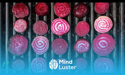 “Veg Table” Dietary Nitrate Scoring Method