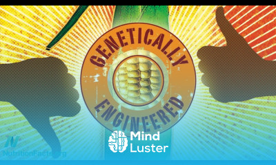 Are GMOs Safe The Case of BT Corn