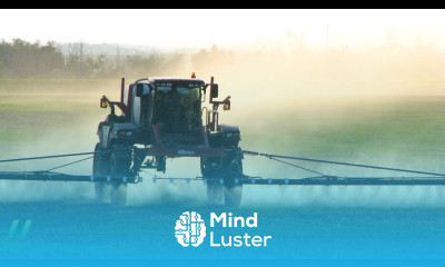 Are GMOs Safe The Case of Roundup Ready Soy