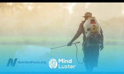 Pesticides and Cancer Risk