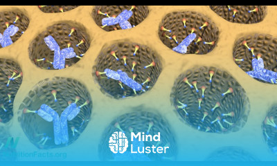 Why Do Plant Based Diets Help Rheumatoid Arthritis