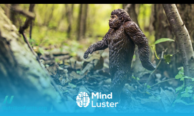 Lose Two Pounds in One Sitting Taking the Mioscenic Route