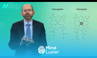 Foods that Help Headache and Migraine Relief