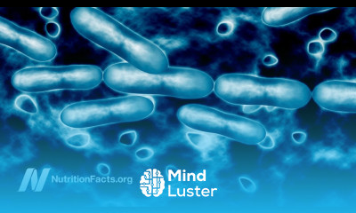 Antibiotic Resistant E coli and UTIs in Vegetarians vs Meat Eaters