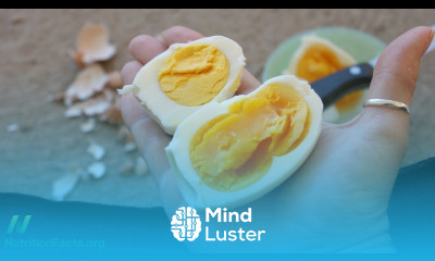 Does Cholesterol Size Matter