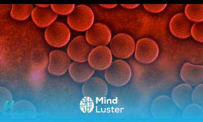 Oxygenating Blood with Nitrate Rich Vegetables