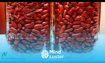 Which Type of Protein Is Better for Our Kidneys