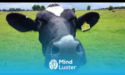 The Protein Combining Myth