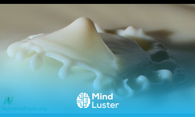 The Great Protein Fiasco