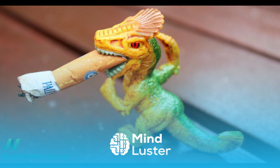 Animal Protein Compared to Cigarette Smoking