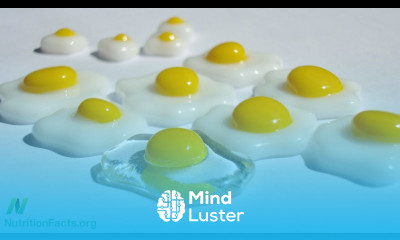 Cholesterol Feeds Breast Cancer Cells