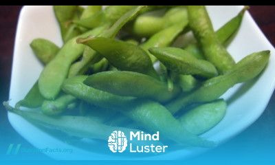 Soy Phytoestrogens for Menopause Hot Flashes