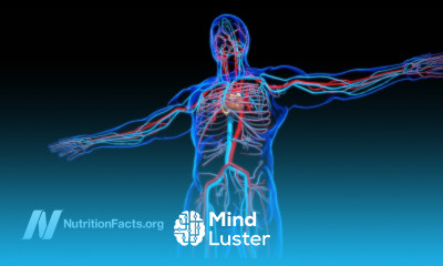 Survival of the Firmest Erectile Dysfunction and Death