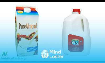 Prostate Cancer and Organic Milk vs Almond Milk