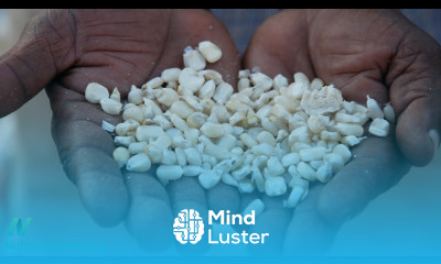 Solving a Colon Cancer Mystery