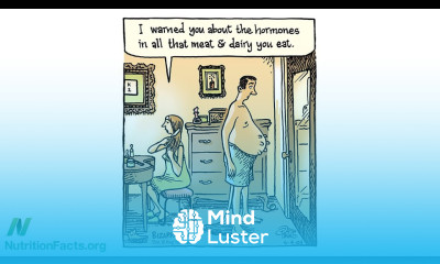 Zeranol Use in Meat and Breast Cancer