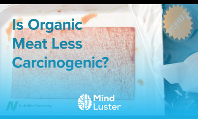 Is Organic Meat Less Carcinogenic