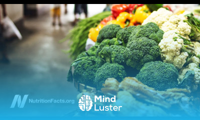 Diet and Lifestyle for Cancer Prevention and Survival