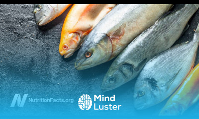 Fish Consumption and Suicide