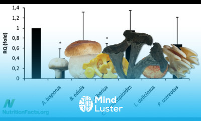 Boosting Immunity While Reducing Inflammation
