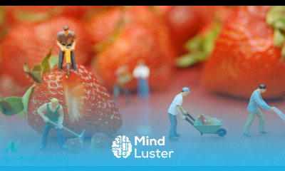 Plant Based Diets for Improved Mood and Productivity