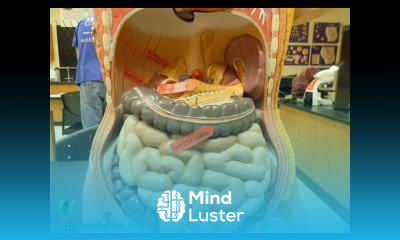 Achieving Remission of Crohn s Disease