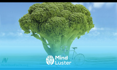 Best Food to Counter the Effects of Air Pollution