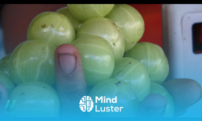 The Best Food For High Cholesterol