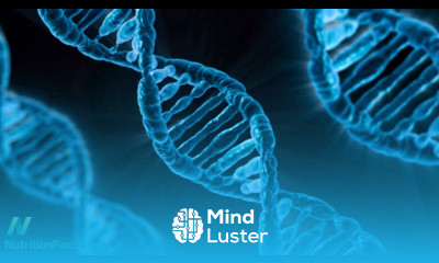 The Alzheimer s Gene Controlling ApoE