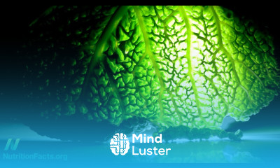 Preventing Alzheimer s Disease With Plants