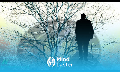 Alzheimer s Disease Copper and Saturated Fat