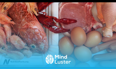 The Role of Endotoxins in Alzheimer s and Dementia